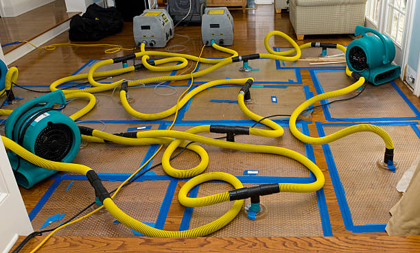 Professional Structural Drying And Dehumidification technician working in Saint Jacob, IL